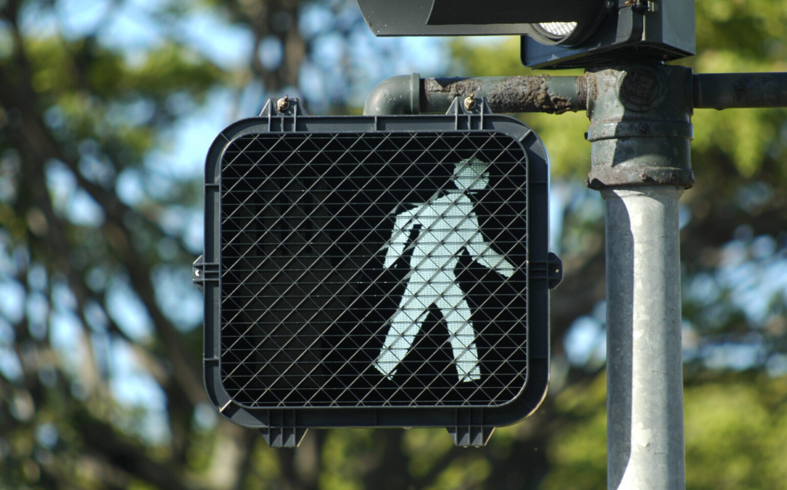 David Rousso has been arrested for a fatal pedestrian hit-and-run in Santa Barbara.