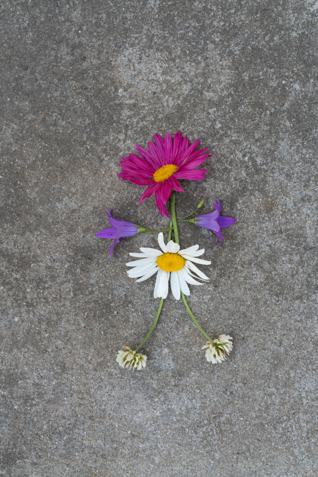 Katharina Heibert Janzen, 21, killed in Joaquin County crash.